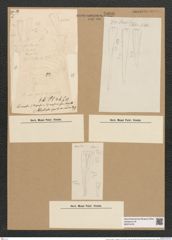 Licmophora anglica f. elongata V.H. (de-Toni-Nr.: Genus 86, Species 2957) Zeichnungen Sammlung Grunow Nr. 5990 (NHMW-BOT-W0374478)